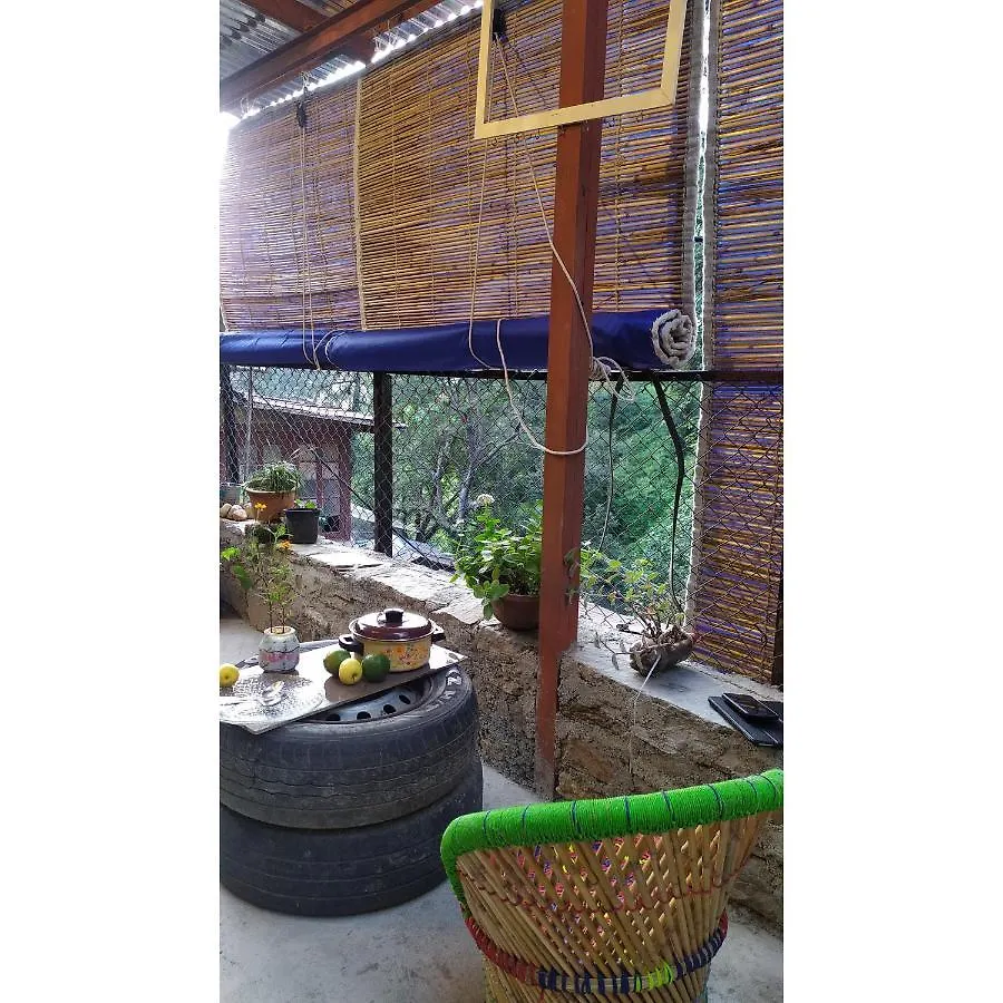 Shimla Gypsy - Home Stay